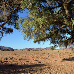 Namib Naukluft National Park, Namibia