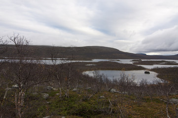 Fototapeta premium Lapland, Finland / Lapland is located in Northern Europe and includes the northern parts of Fennoscandia. The region stretches over four countries: Norway, Sweden and Finland