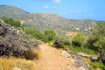 Fototapeta premium Summer landscape in Crete.