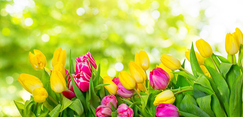 natur backgrounds