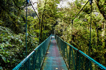 Fototapeta premium Hanging Bridges in Cloudforest - Costa Rica