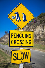 Neuseeland Oamaru Pinguinschilder