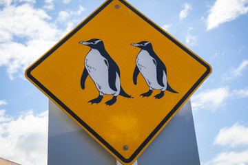 Neuseeland Oamaru Pinguinschilder