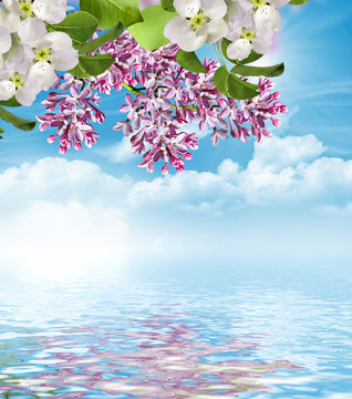 Lilac branch on a background of blue sky with clouds