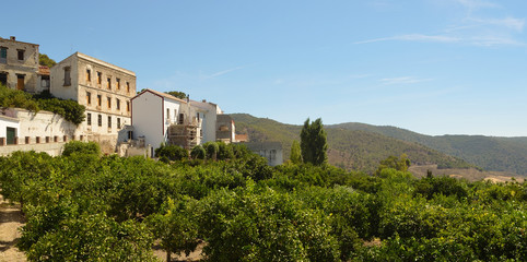 Fototapeta na wymiar The mountain Village of Carratraca Andalucia Spain, with Olive Trees.