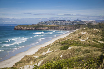 Fototapeta na wymiar Landschaft rund um Dunedin Otago