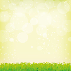 Smooth green background with grass and bokeh