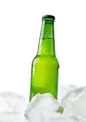 beer bottle in the ice