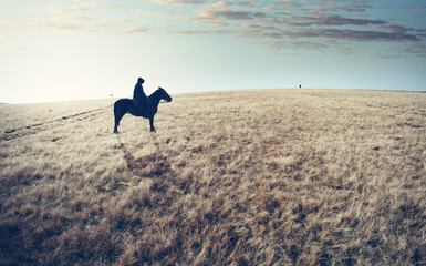lone knight