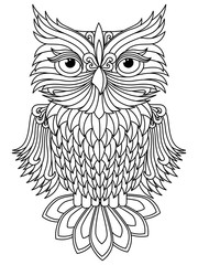 Obraz premium Amusing owl black outline