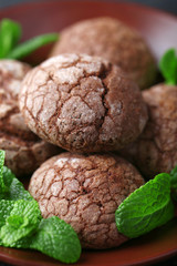 Chocolate chip cookie with mint on plate, closeup