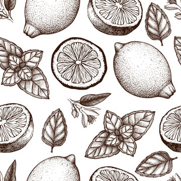Vintage pattern design with herbal tea ingredients - lemon and mint. Vector seamless background with ink hand drawn herbs and spice sketch.