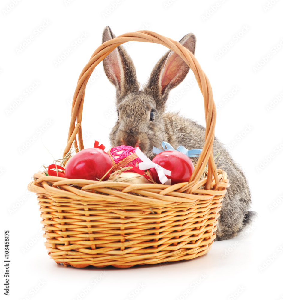 Wall mural Easter basket and bunny.