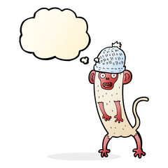 cartoon crazy monkey with thought bubble