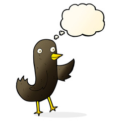 funny cartoon bird with thought bubble
