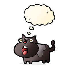 cartoon shocked cat with thought bubble