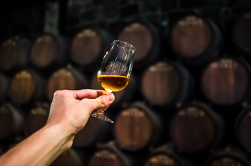 toast with a glass of wine in the wine cellar