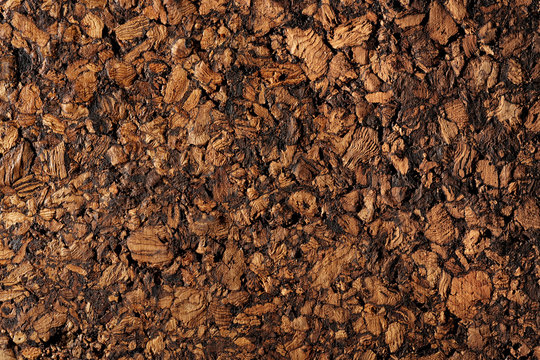Natural cork texture