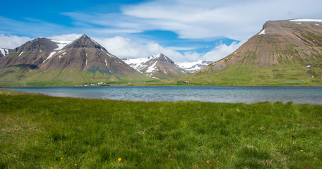 Fototapeta premium Dyrafjordur, Westfjords, Iceland