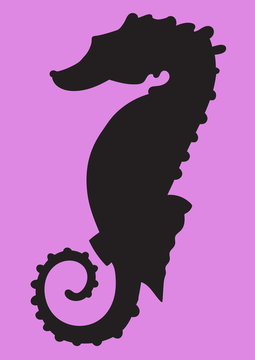Vector illustration of a sea horse