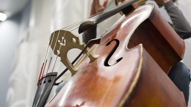 Play On The Contrabass. 