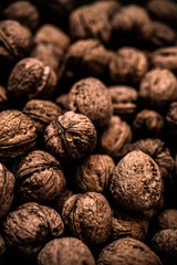 Dried Organic Walnut Photo
