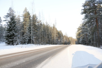 Дорога, уходящая в лес, зимним днем