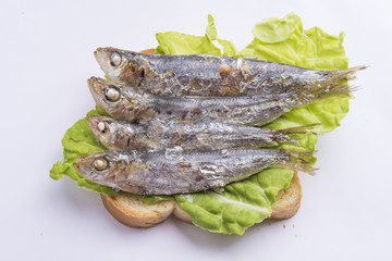 fried sardines on the plate