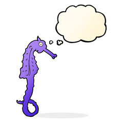 cartoon sea horse with thought bubble