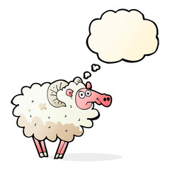 cartoon dirty sheep with thought bubble