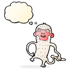 cartoon monkey with thought bubble