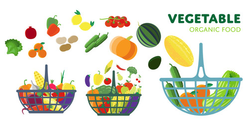 Basket with vegetables, vector illustration. Three different baskets of vegetables from the farm.