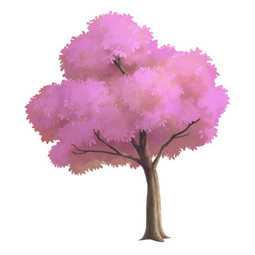 Cherry blossom paint for background