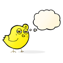 funny cartoon bird with thought bubble