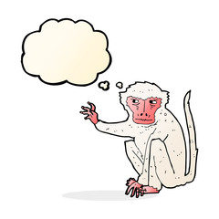 cartoon evil monkey with thought bubble