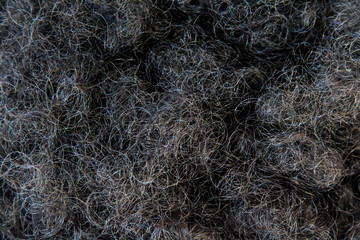 Full frame black curly hair