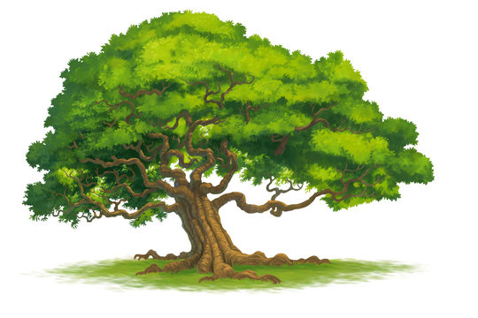 Fototapeta tree isolate illustration