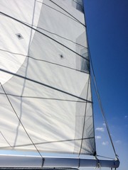 sails up