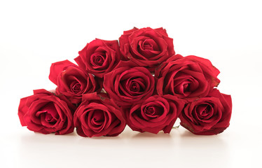 red rose