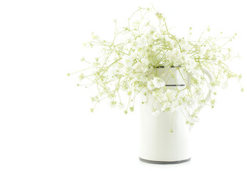 Bouquet of white Gypsophila (Baby's-breath flowers), light, airy masses of small white flowers, process high key.