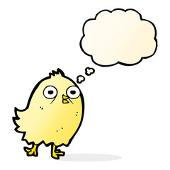 funny cartoon bird with thought bubble