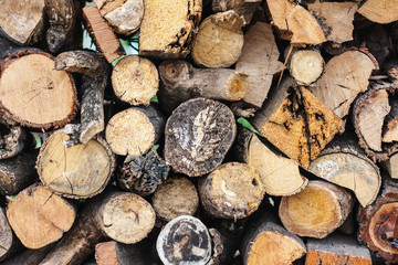wood logs background