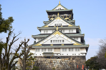 Fototapeta premium japanese temple