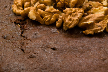 Shelled walnuts on a chocolate biscuit (right corner,front view)