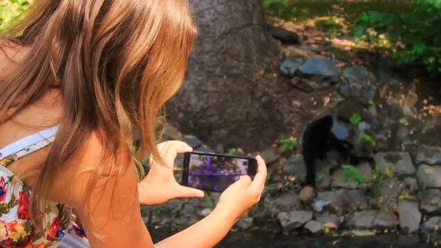 Closeup Backside Blond Girl Takes Photo of Monkey in Park