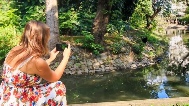Closeup Backside Blond Girl Takes Photo of Stream in Park