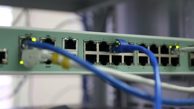 hand holding RJ45 or Cat5 connect to ethernet switches