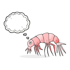 cartoon shrimp with thought bubble