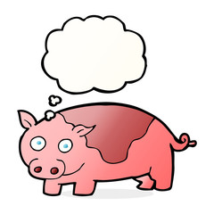 cartoon pig with thought bubble