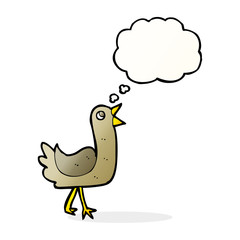 cartoon bird with thought bubble
